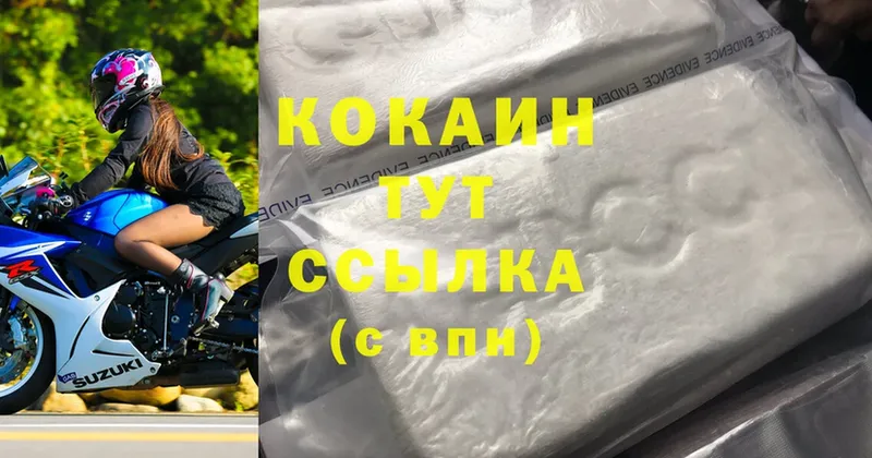 где купить   Каргополь  Cocaine VHQ 